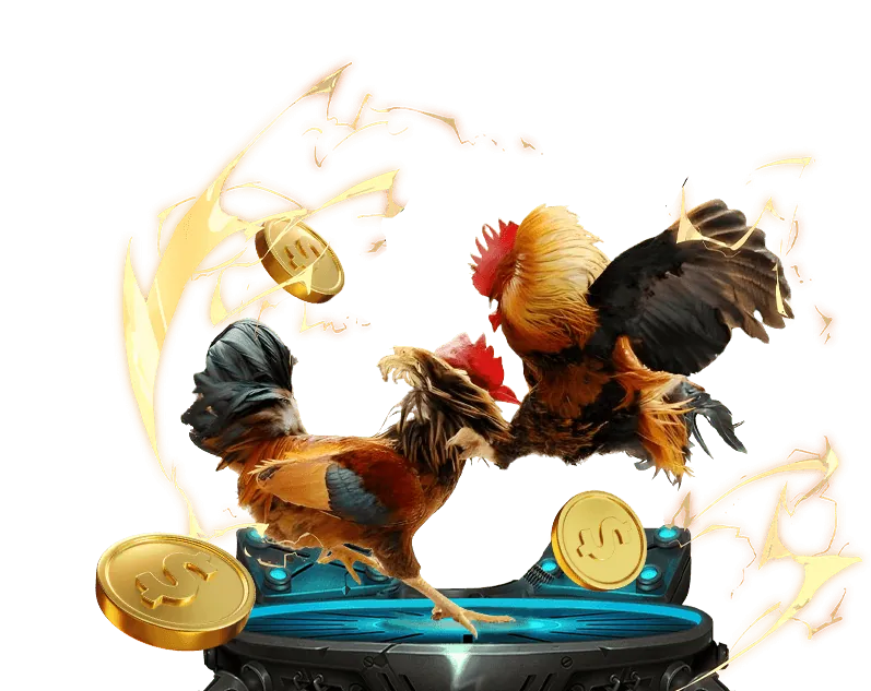 Đội ngũ 77king88 làm việc chăm chỉ vì sự đổi mới và công bằng